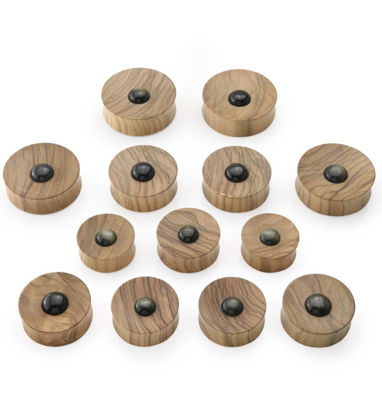Olive Wood Golden Obsidian Stone Plugs