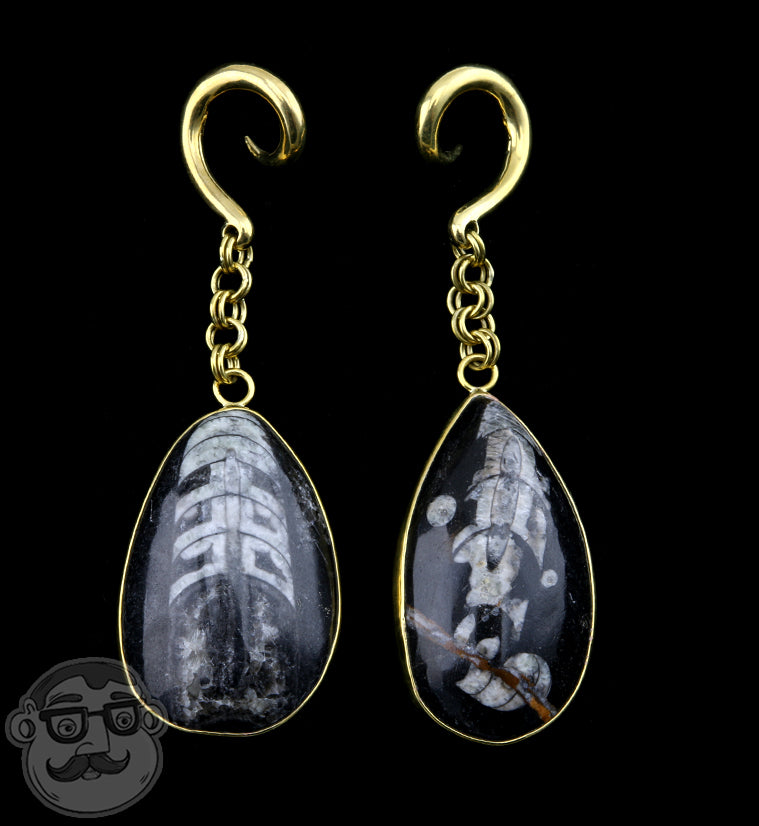 Orthoceras fossil Brass Hangers