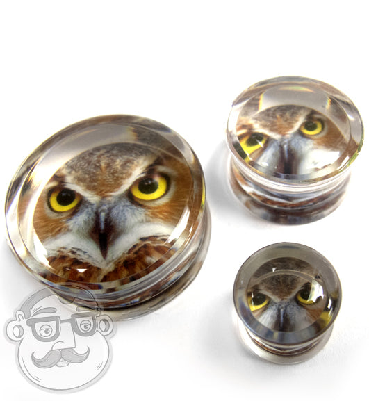 Owl Plugs