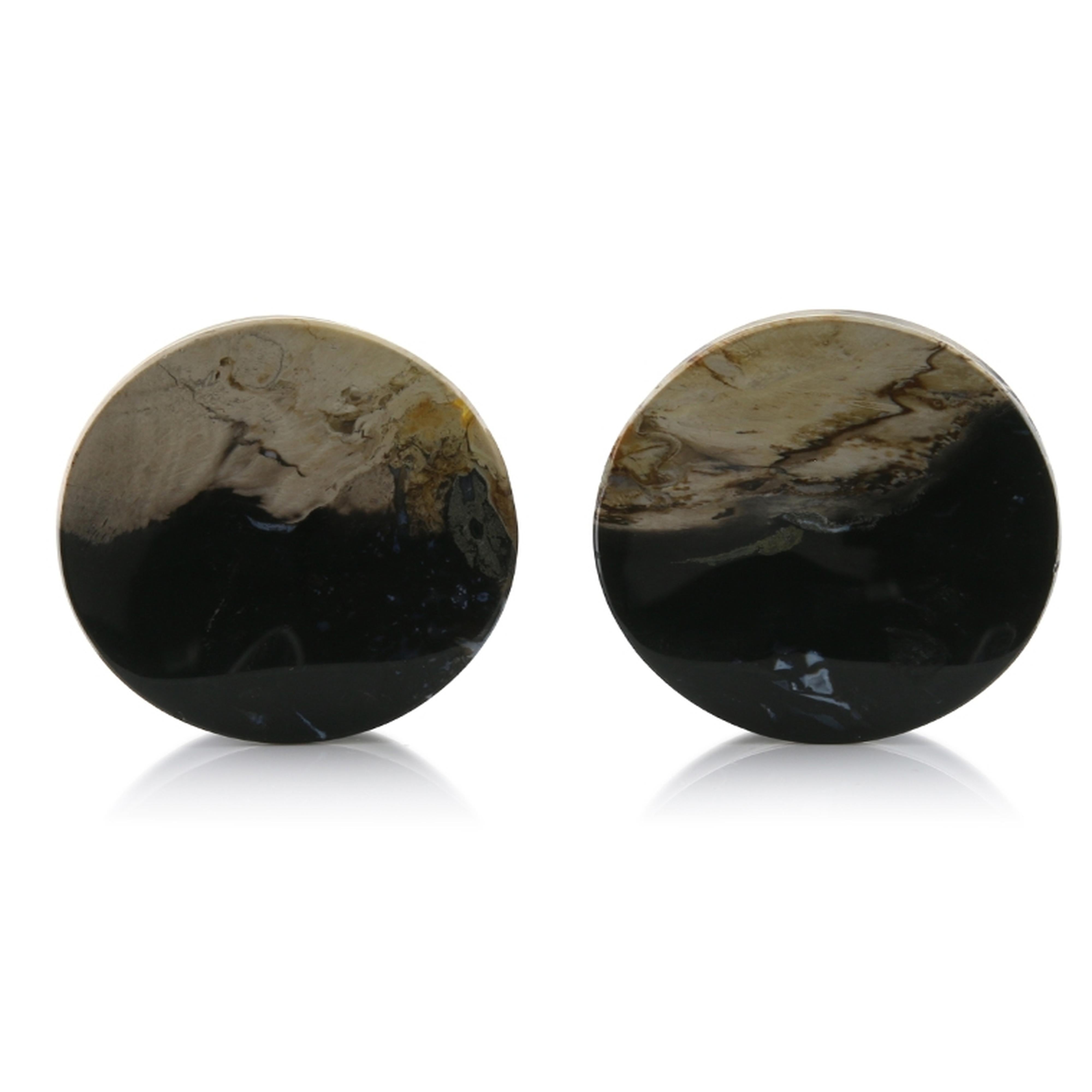 Petrified Palm Root Plugs 1 & 19/64" (33mm) Version 3