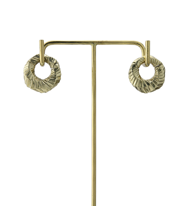 Proxy Brass Hinged Ear Weights
