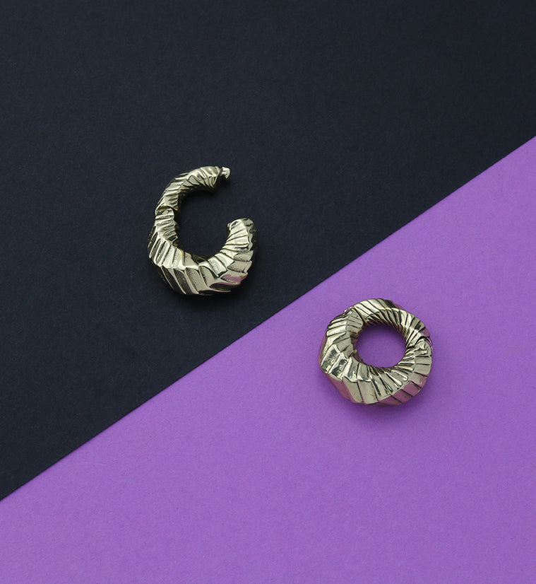 Proxy Brass Hinged Ear Weights