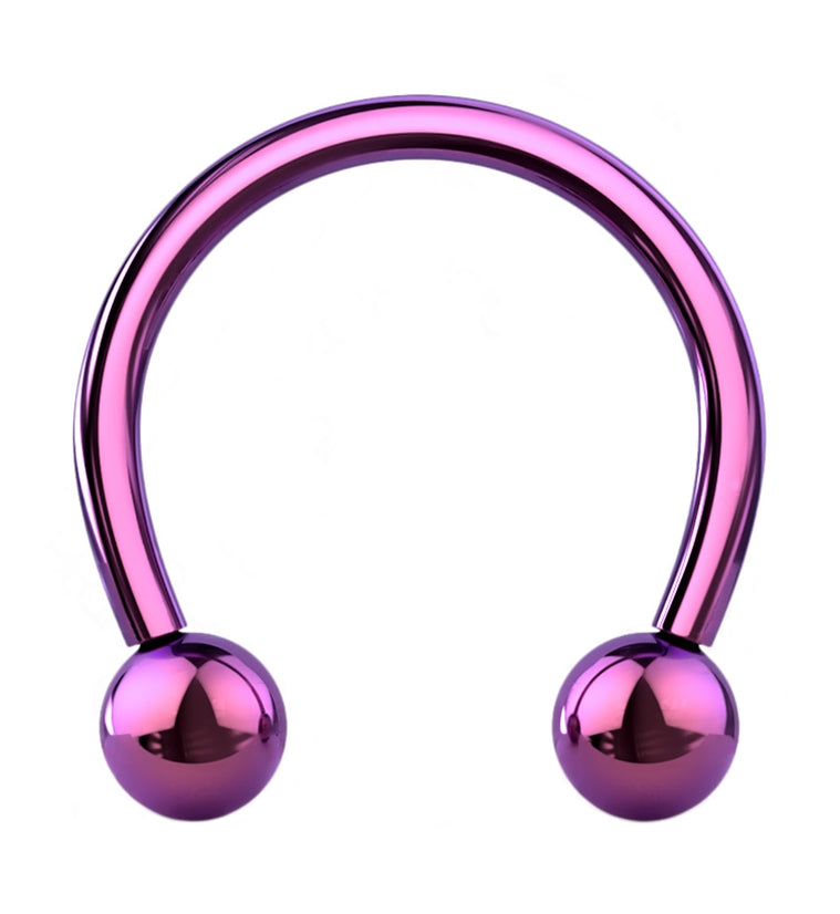 Purple PVD Titanium Circular Barbell