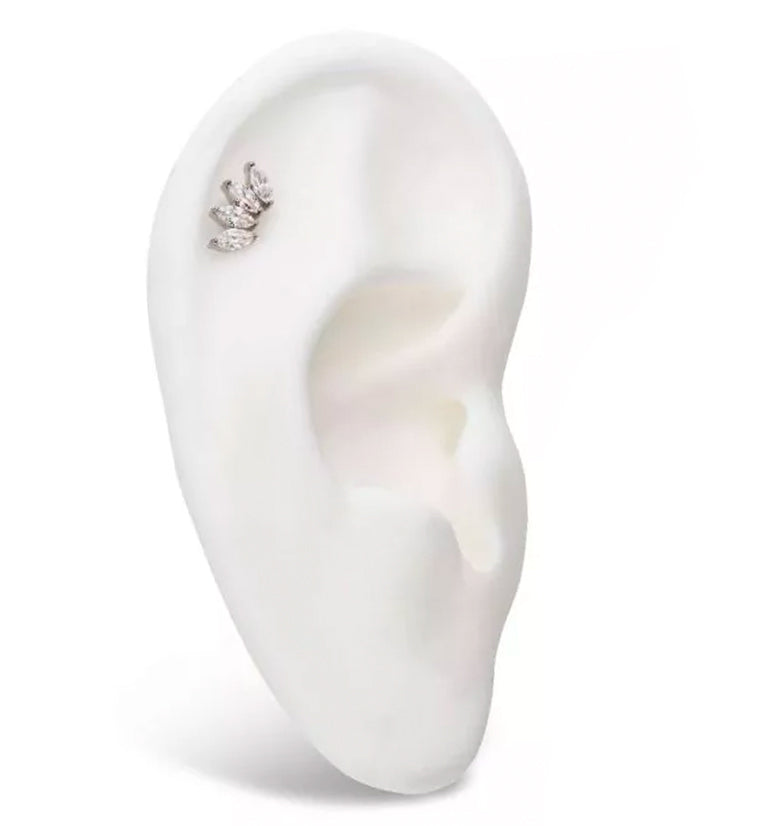 Quartet CZ Internally Threaded Titanium Top