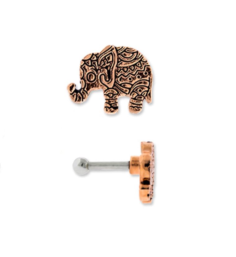 16G Rose Gold PVD Bindi Elephant Tragus / Cartilage Barbell