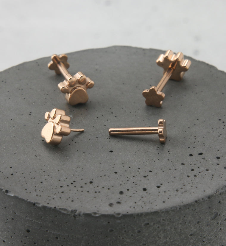 Rose Gold PVD Paw Print Titanium Threadless Labret