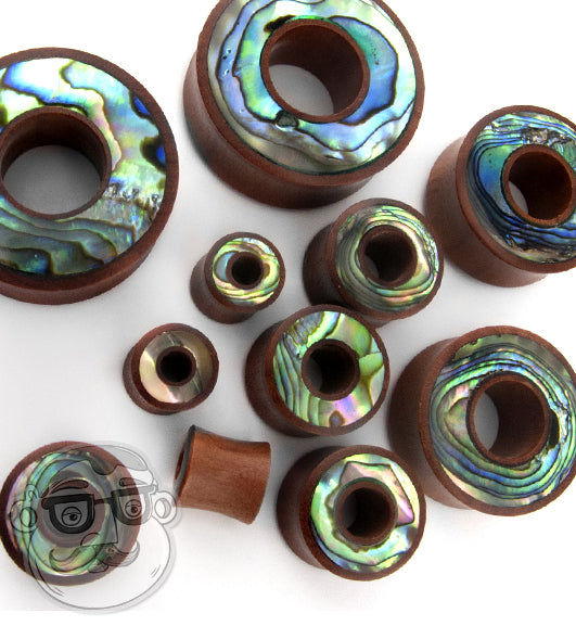 Saba Wood Tunnel Plugs With Abalone Shell Inlay …