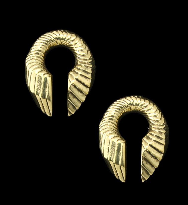 Scaly Brass Ear Weights