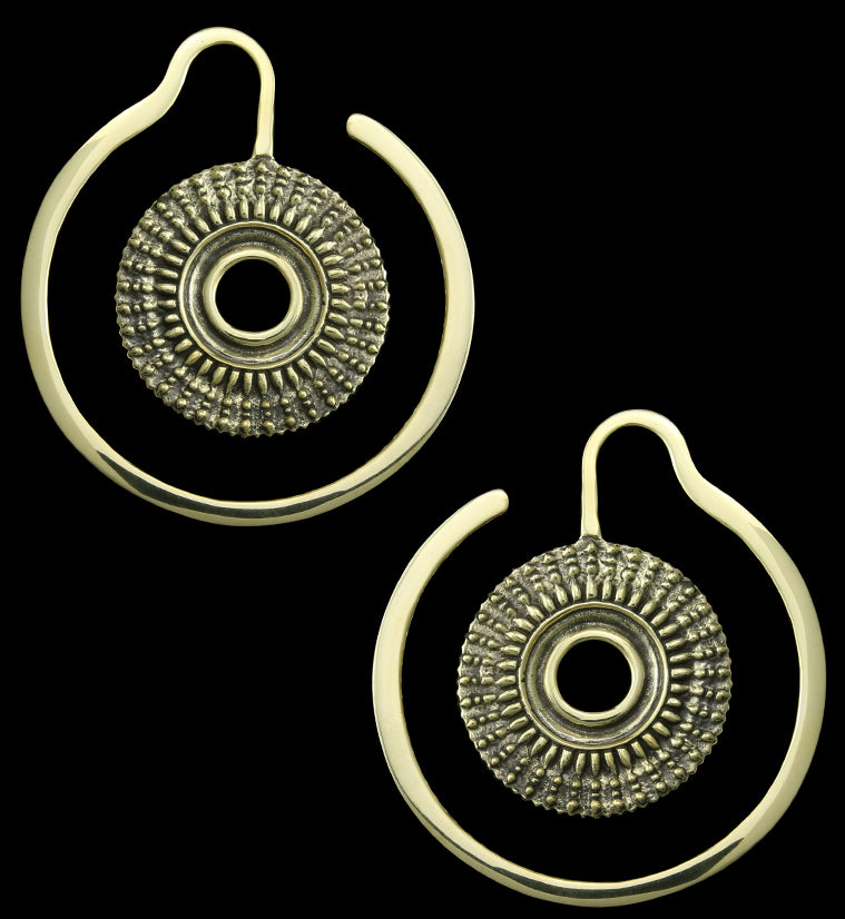Sheath Brass Ear Weights