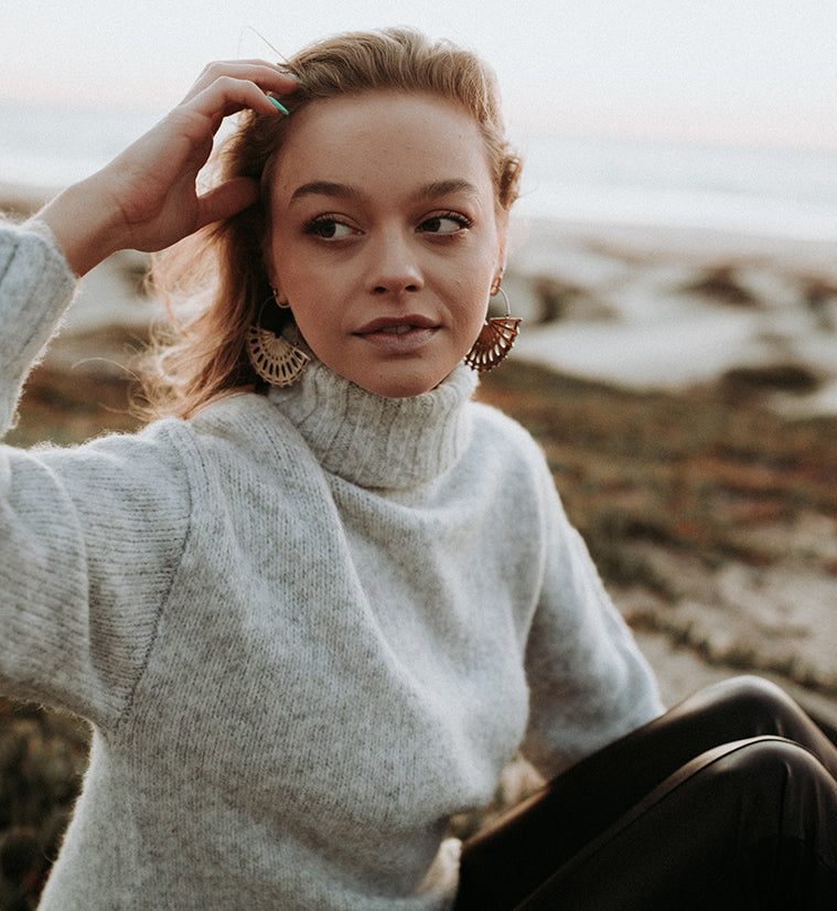 Silver Aileron Titanium Hangers - Earrings