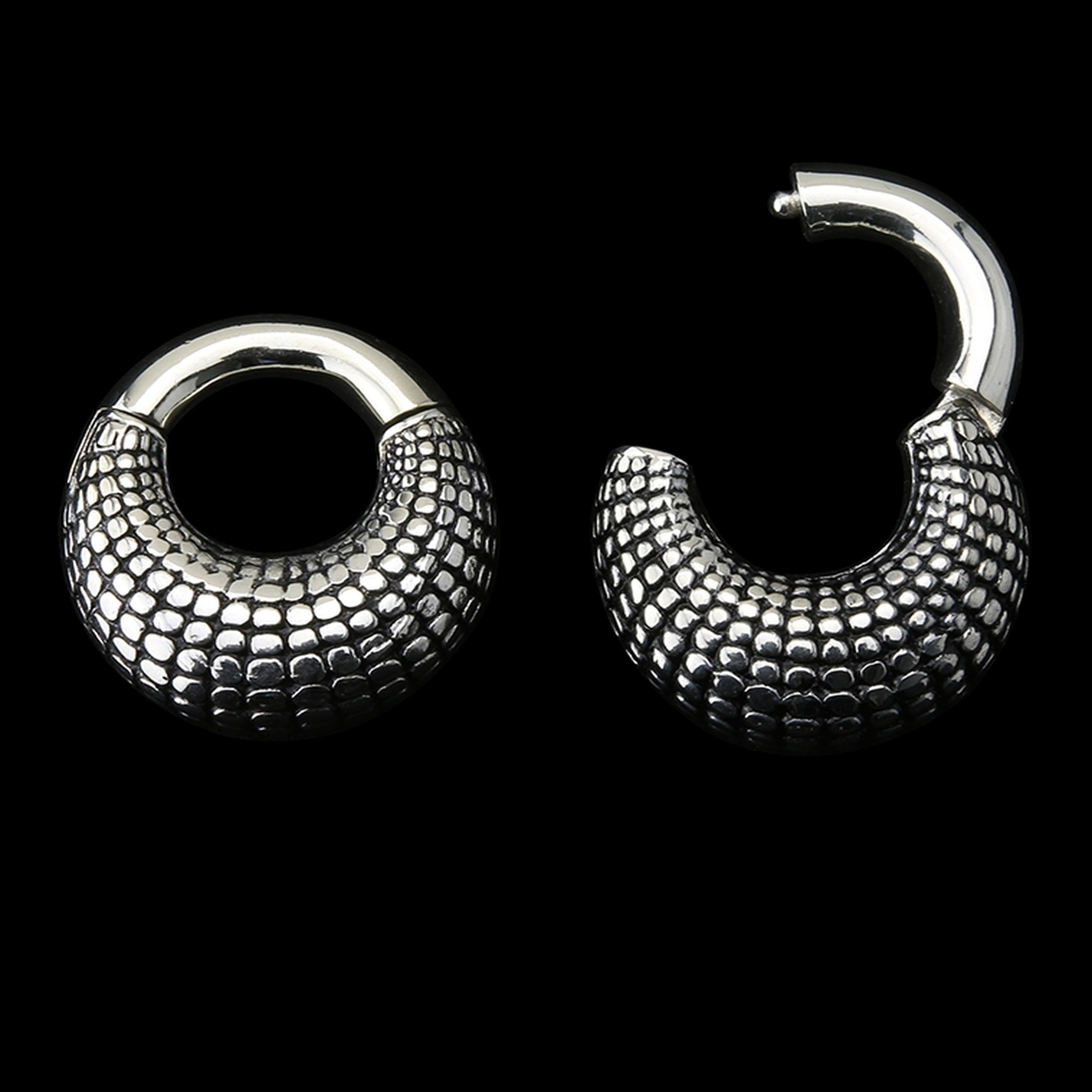 Atom Ring White Brass Hinged Ear Weights