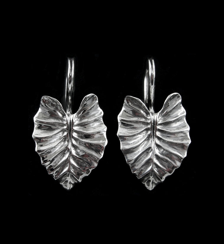Beech Leaf White Brass Ear Weights