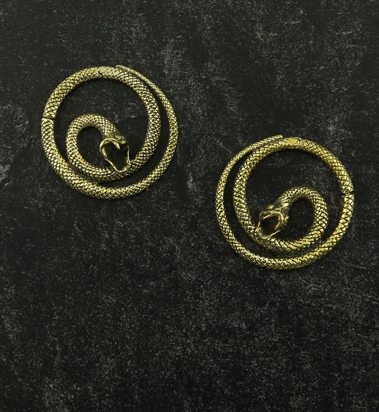 Snake Hinged Hoop Ear Weights