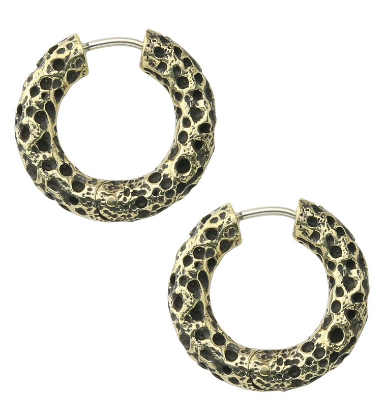 Sponge Brass Hinged Ear Weights