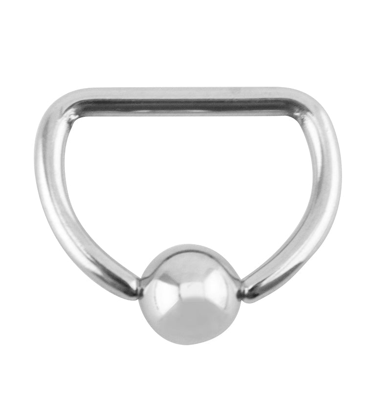 Stainless Steel Captive D Ring
