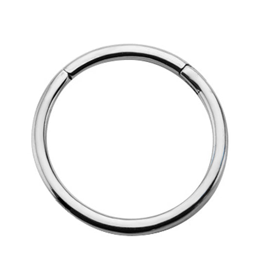 Hinged Stainless Steel Segment Hoop Ring