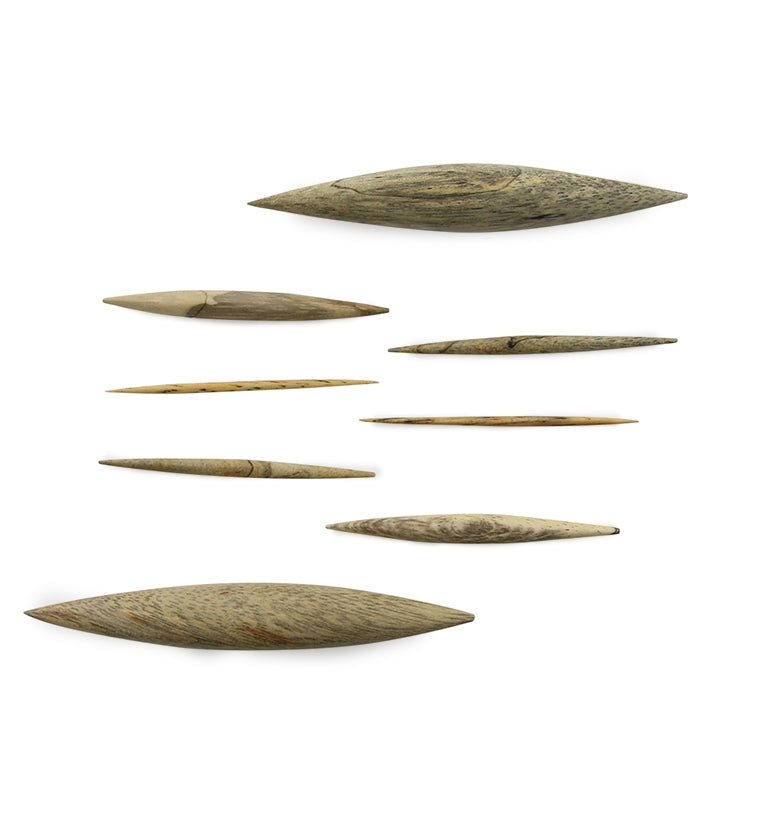 Tamarind Wooden Septum Spike