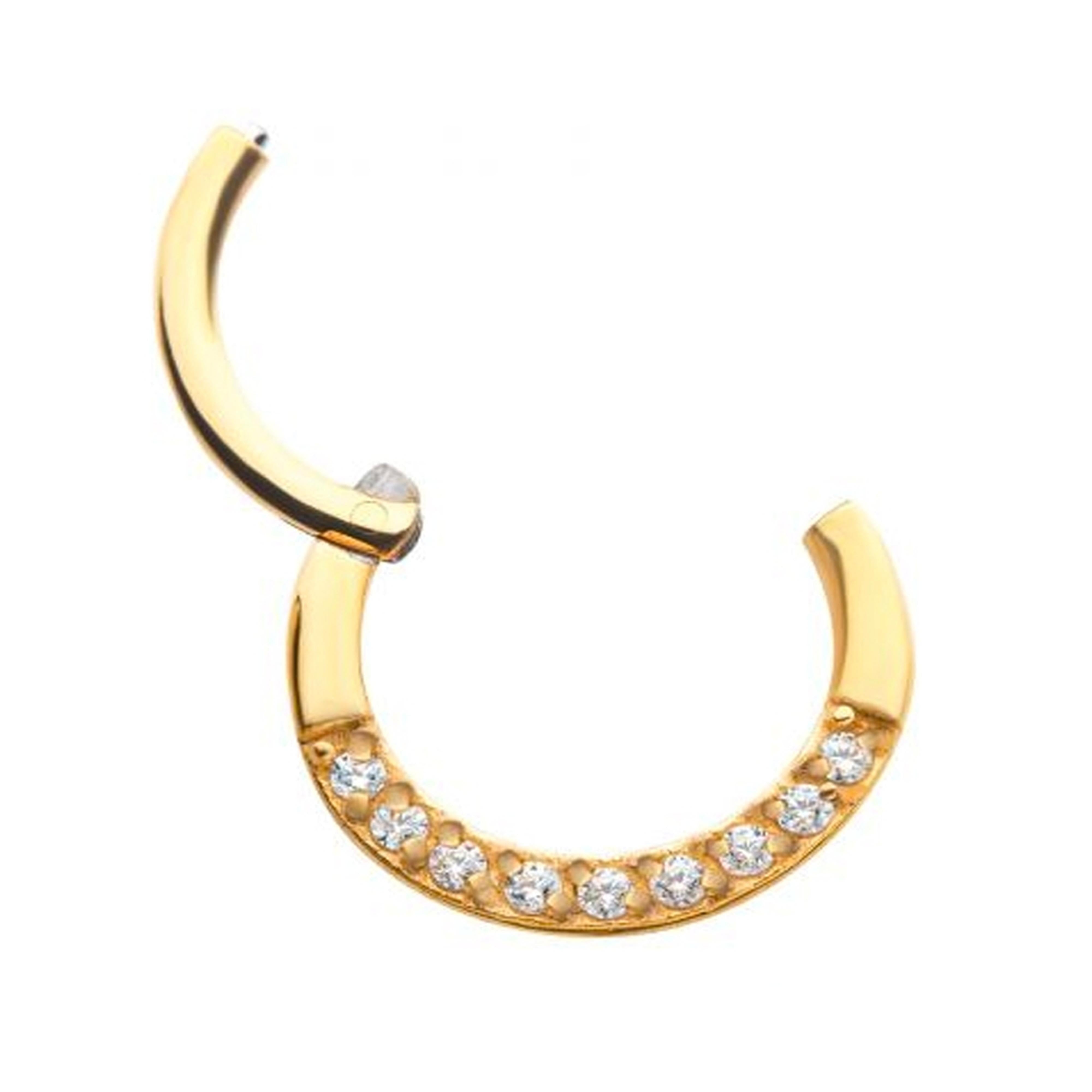 Gold PVD Tenfold CZ Hinged Segment Ring