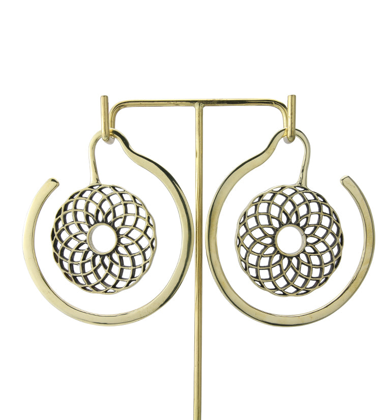 Torus Brass Ear Weights