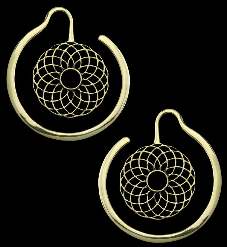 Torus Brass Ear Weights