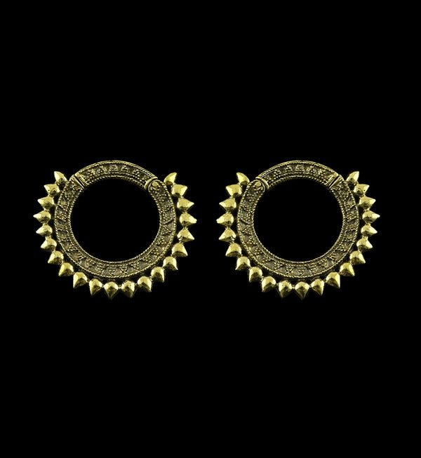 Transfix Ring Hinged Ear Weights