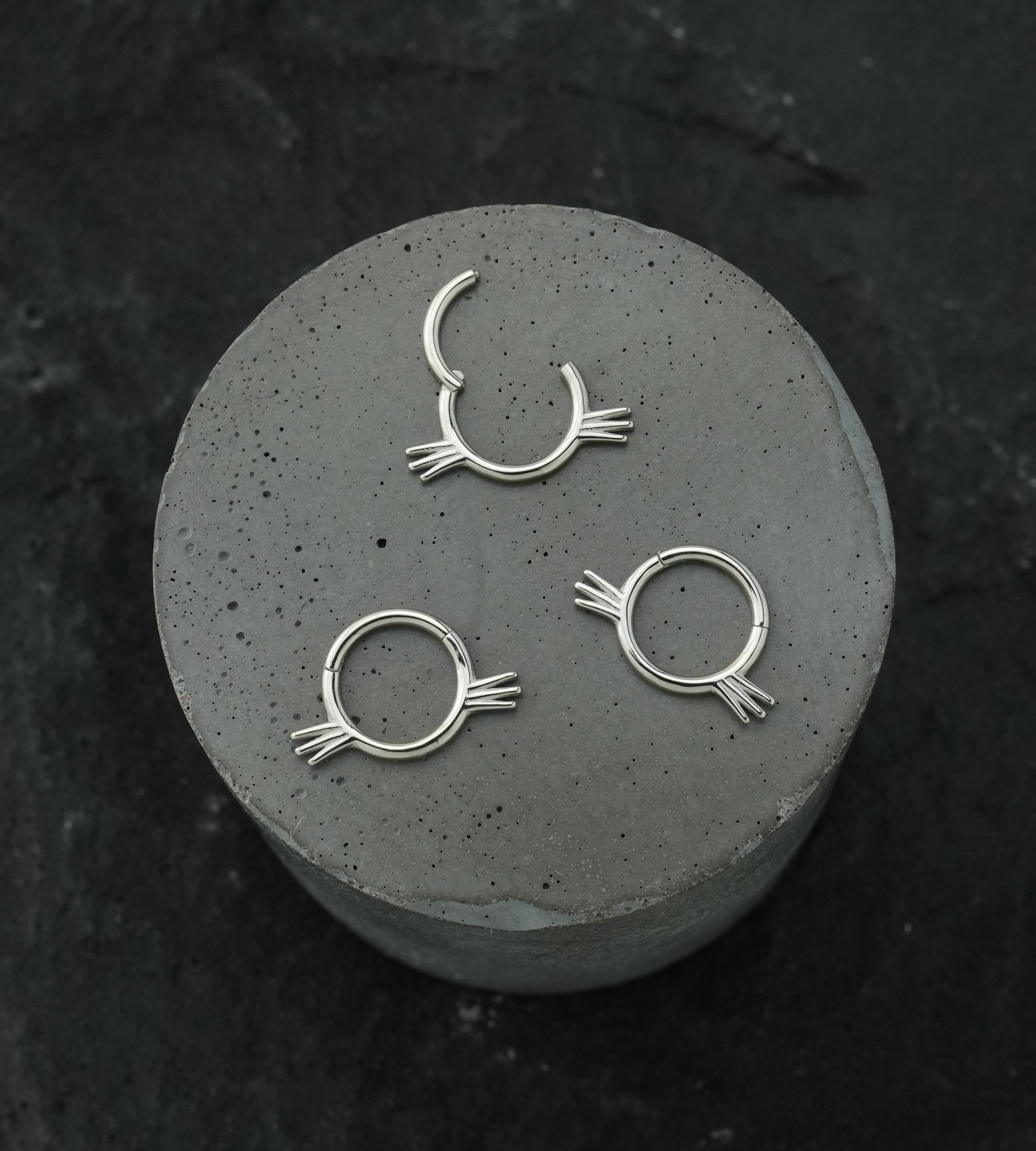 Whiskers Stainless Steel Hinged Segment Ring