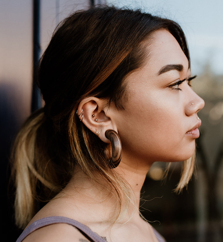 Areng Wooden Hoop Plugs