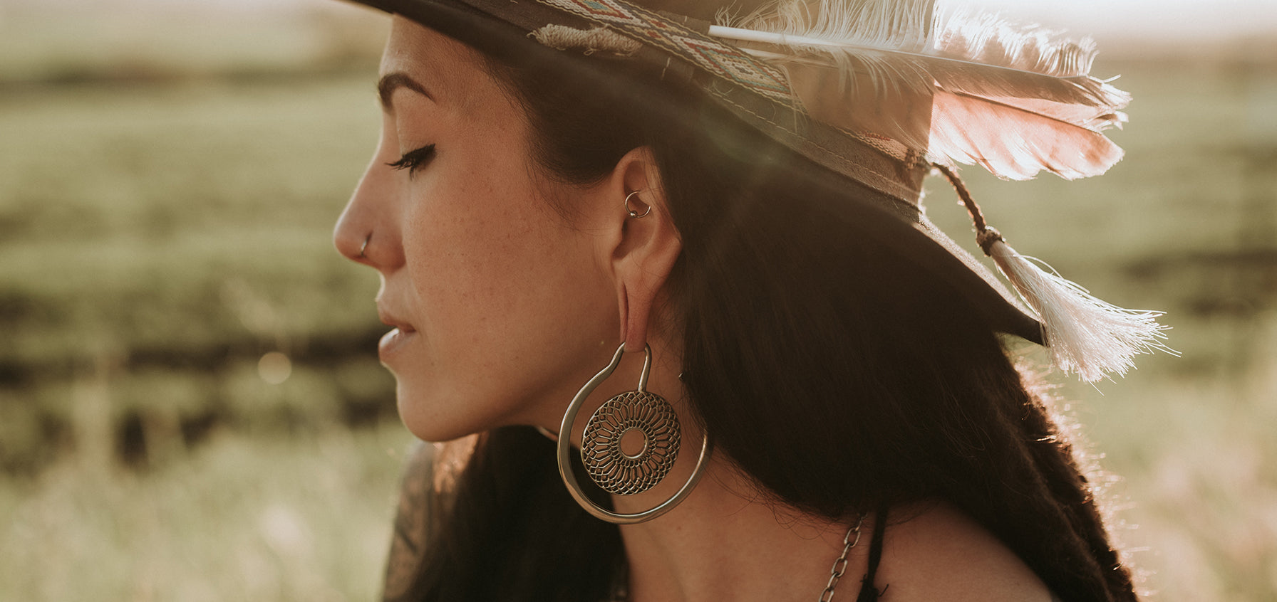 Rook Piercing & Stretched Ears