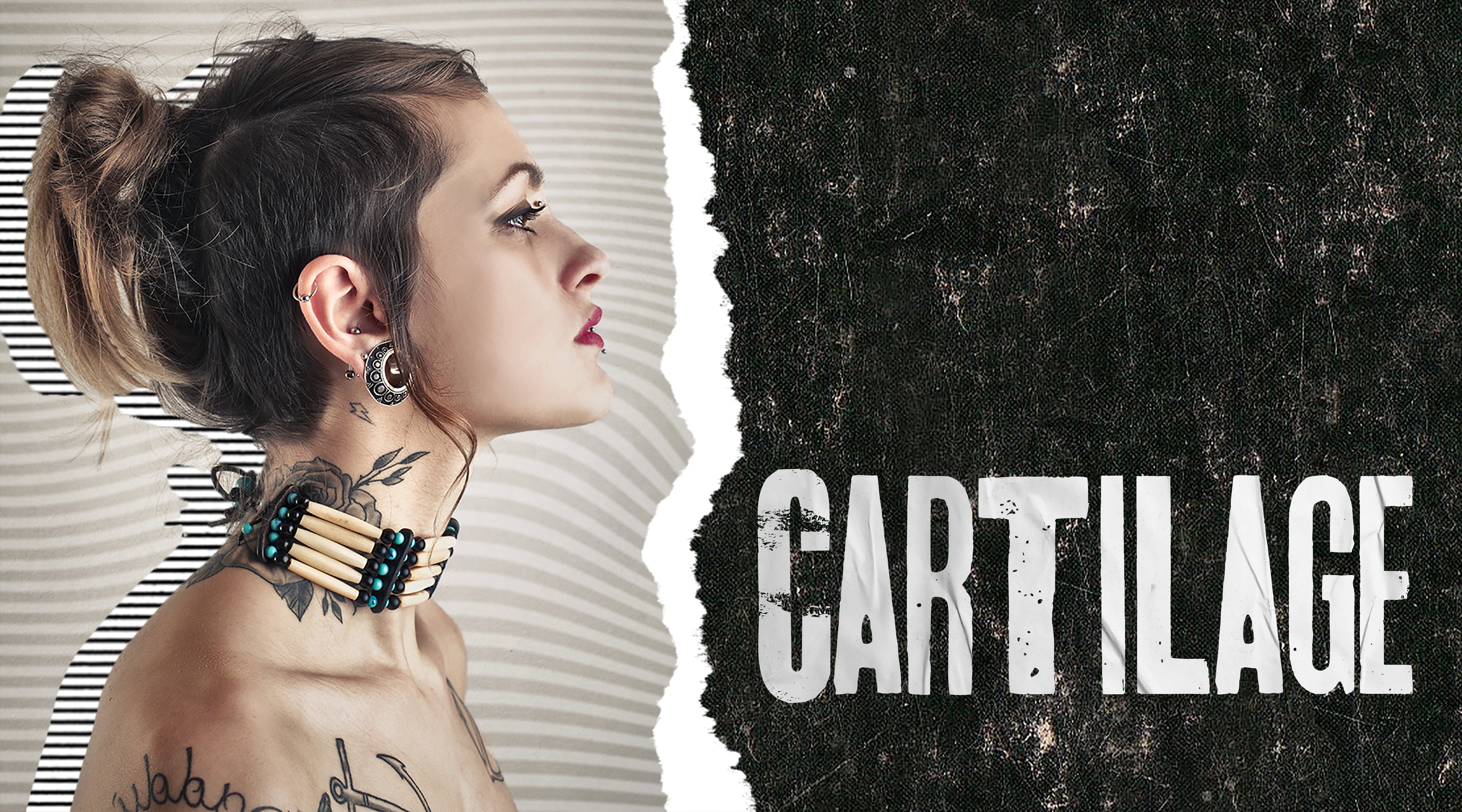 Tragus / Cartilage Earrings