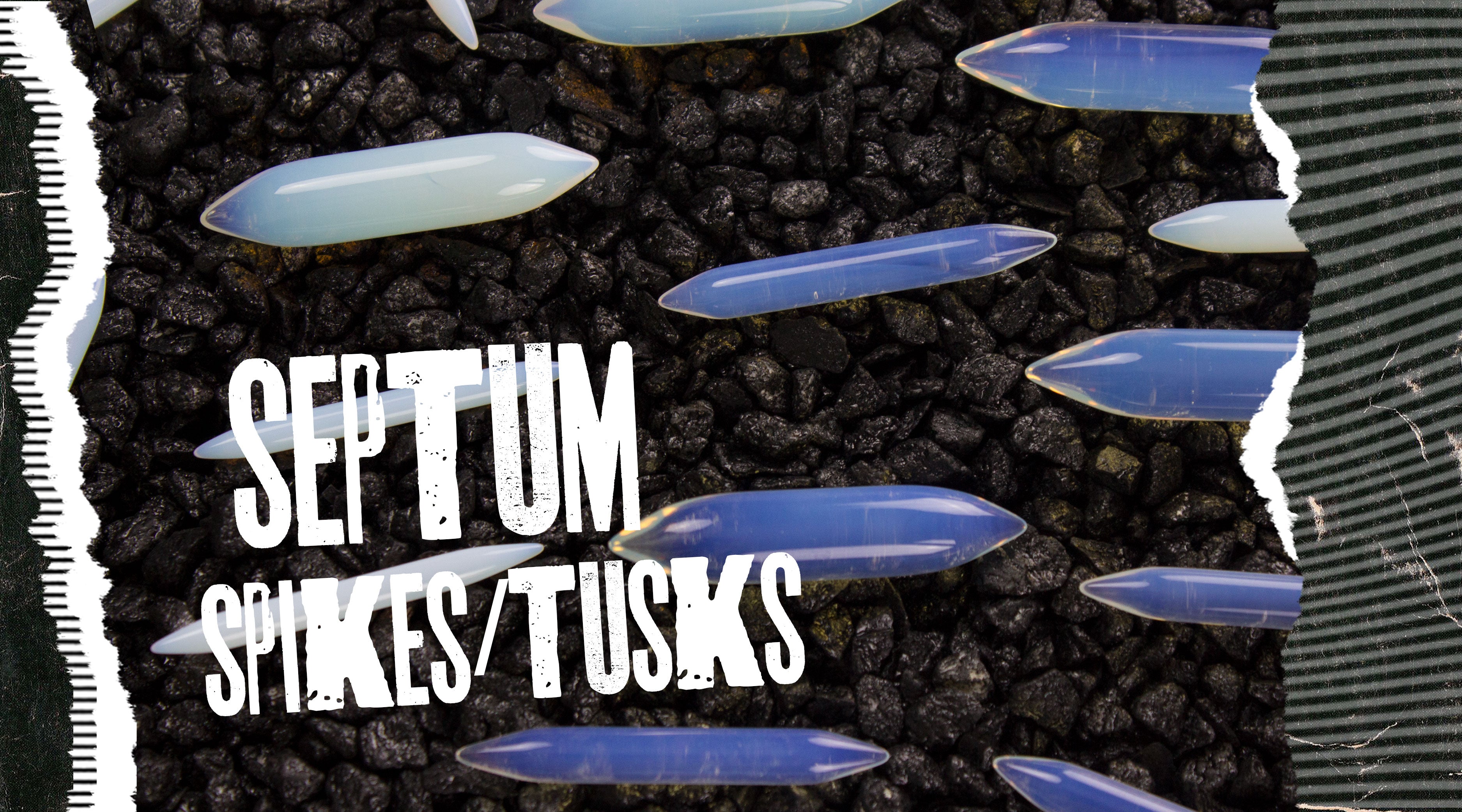 Septum Tusks & Spikes