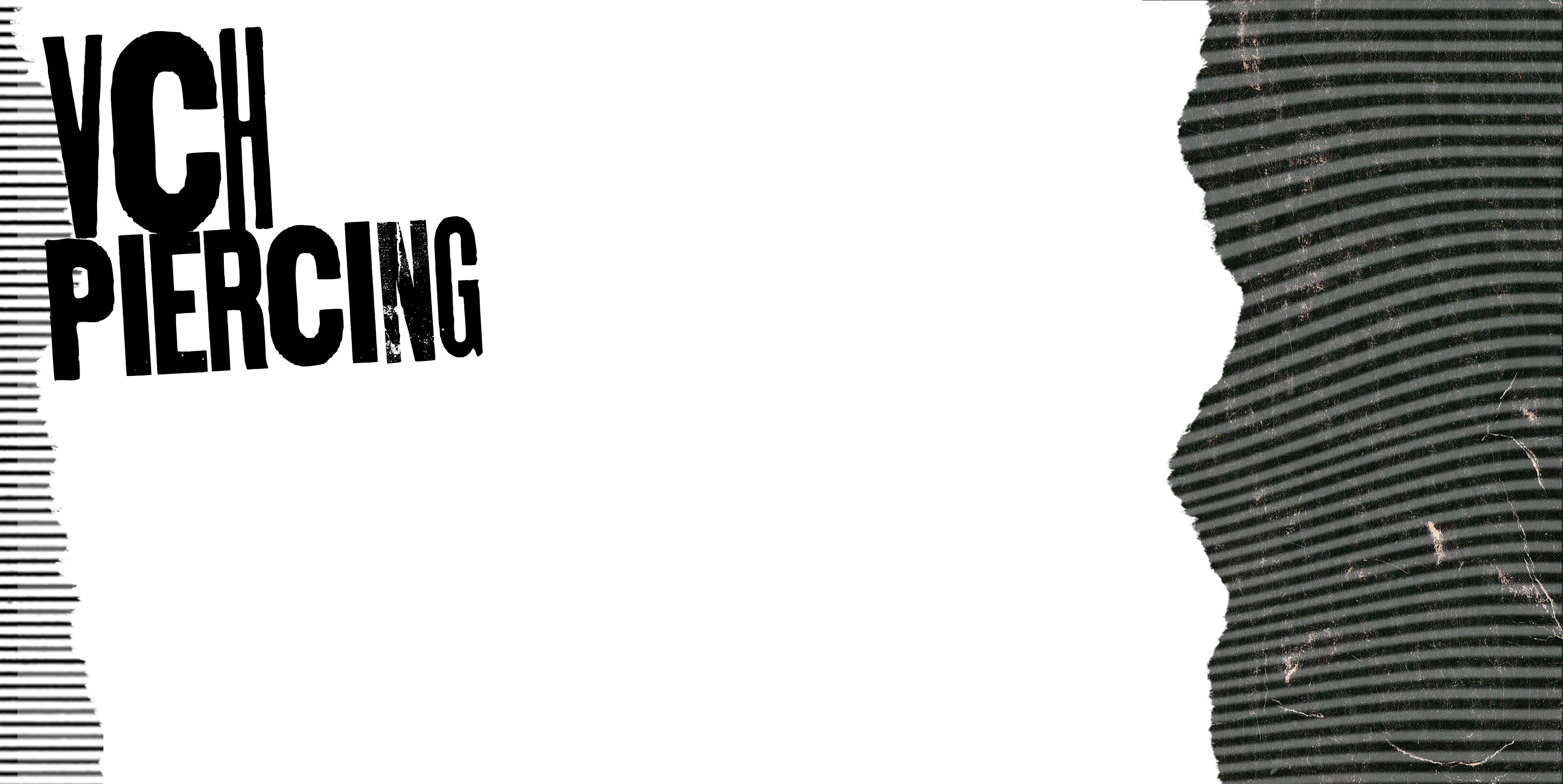 VCH (Vertical Clitoral Hood) Piercing