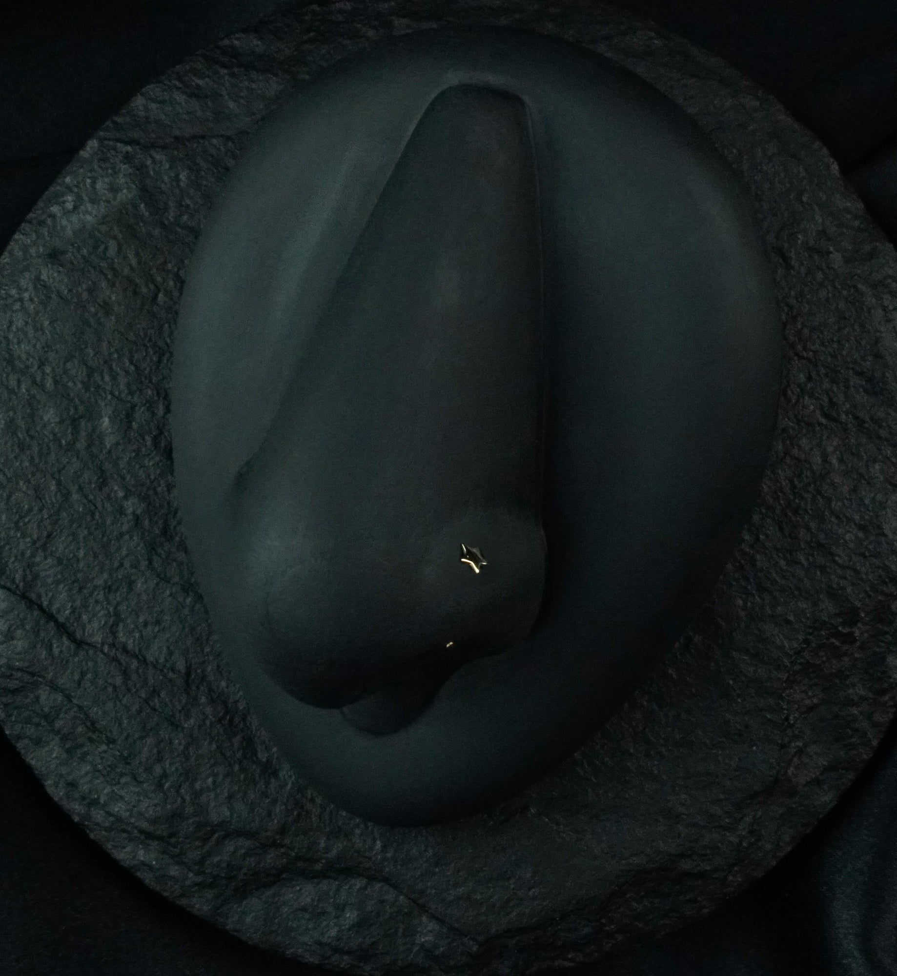 14kt Gold Star L Shaped Nose Ring