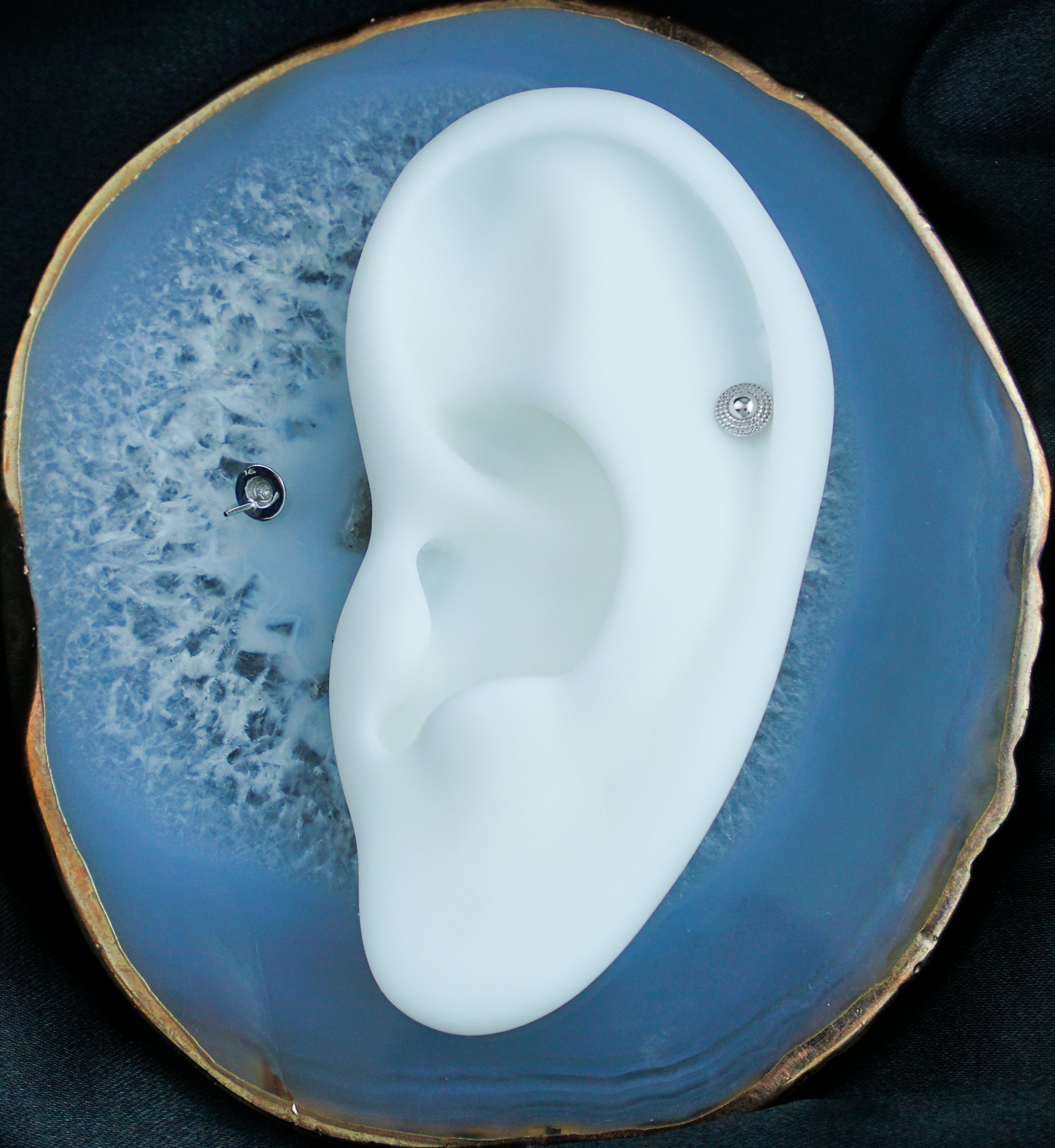 14kt White Gold Beaded Shield Threadless Top