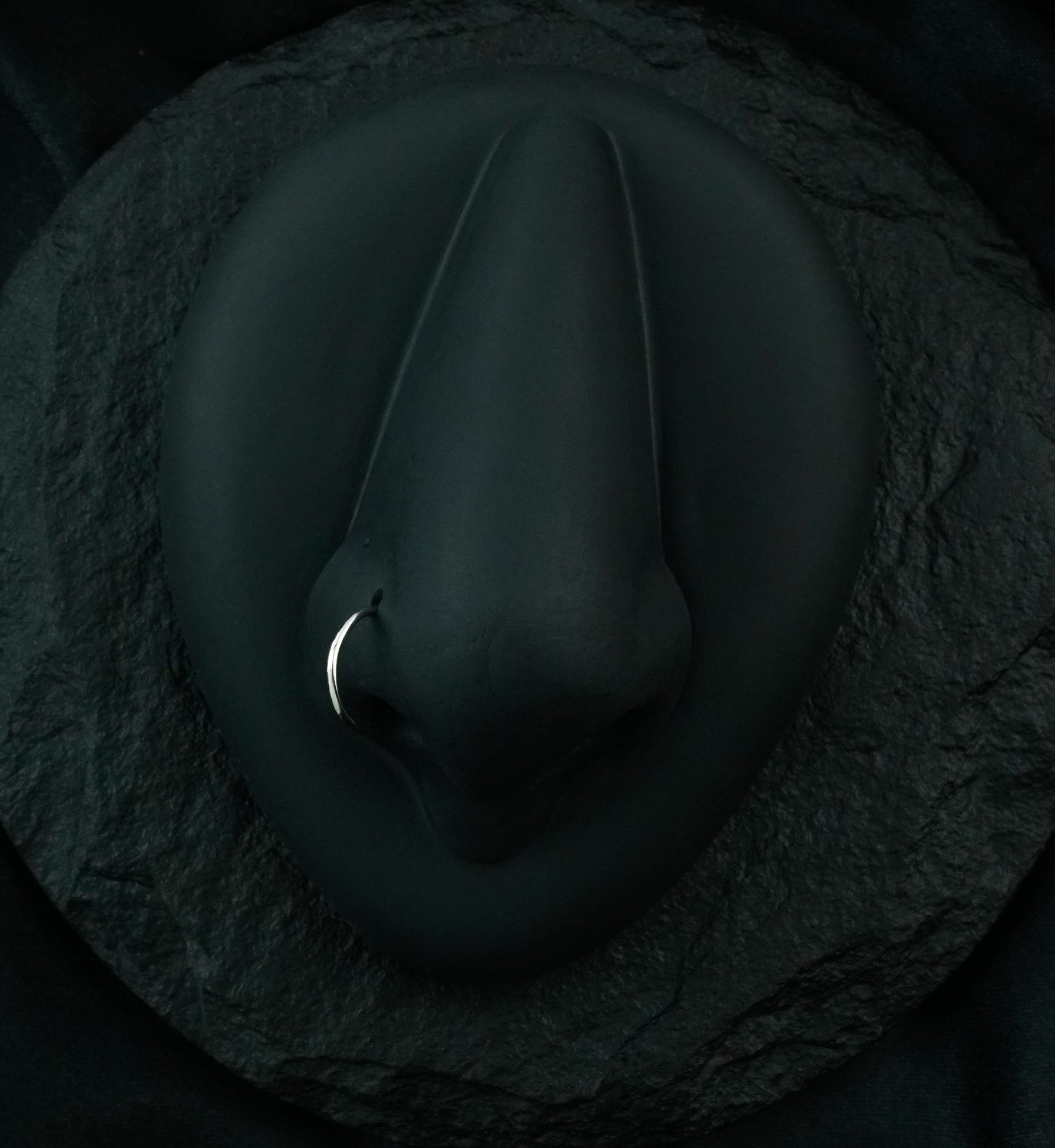 14kt White Gold Hoop Nose Ring