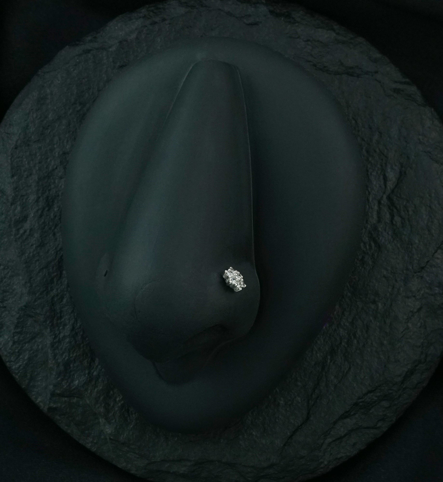 20G 14kt White Gold CZ Flower Pack L Bend Nose Ring