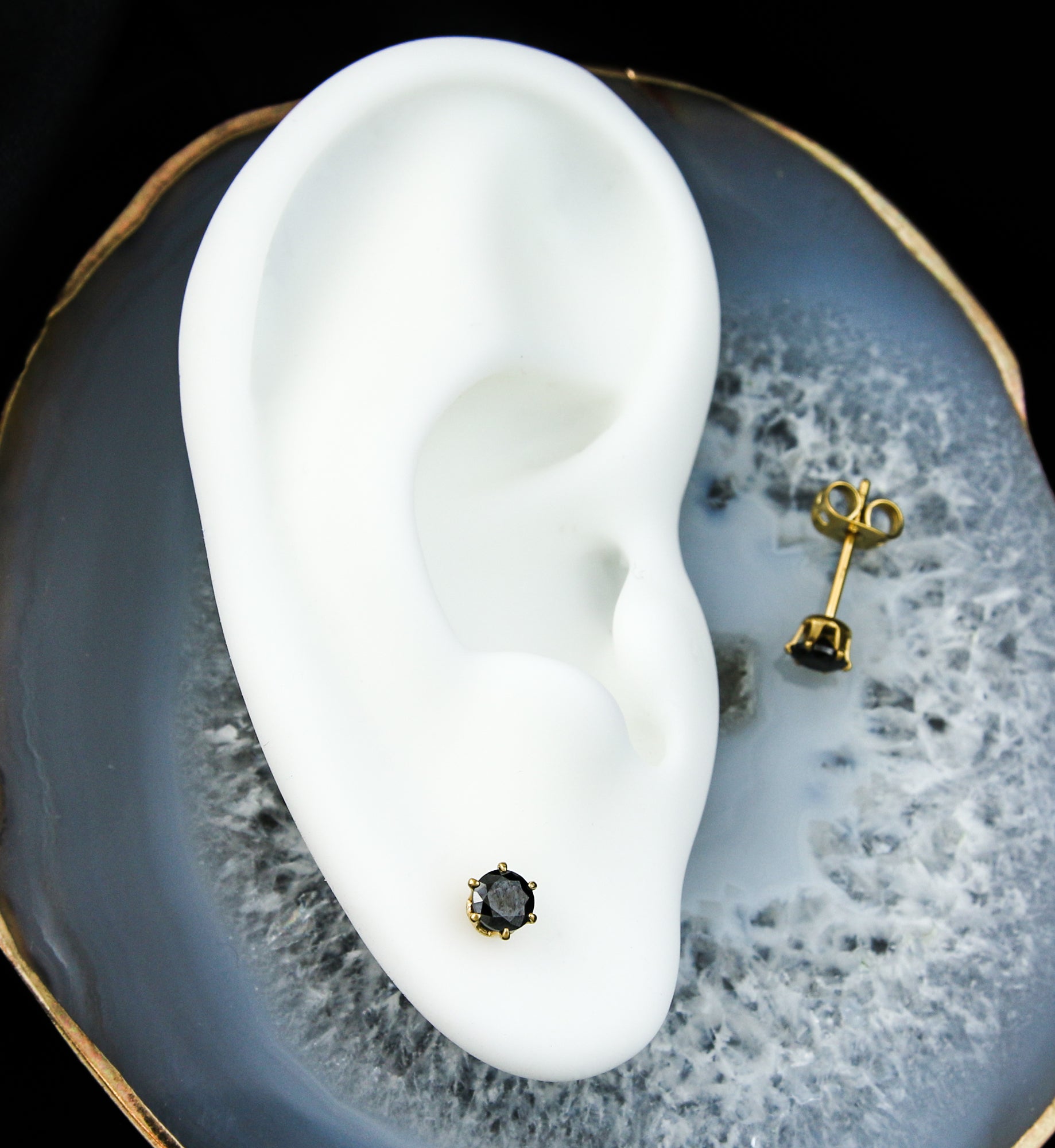 24kt Gold PVD Black CZ Prong Titanium Earrings