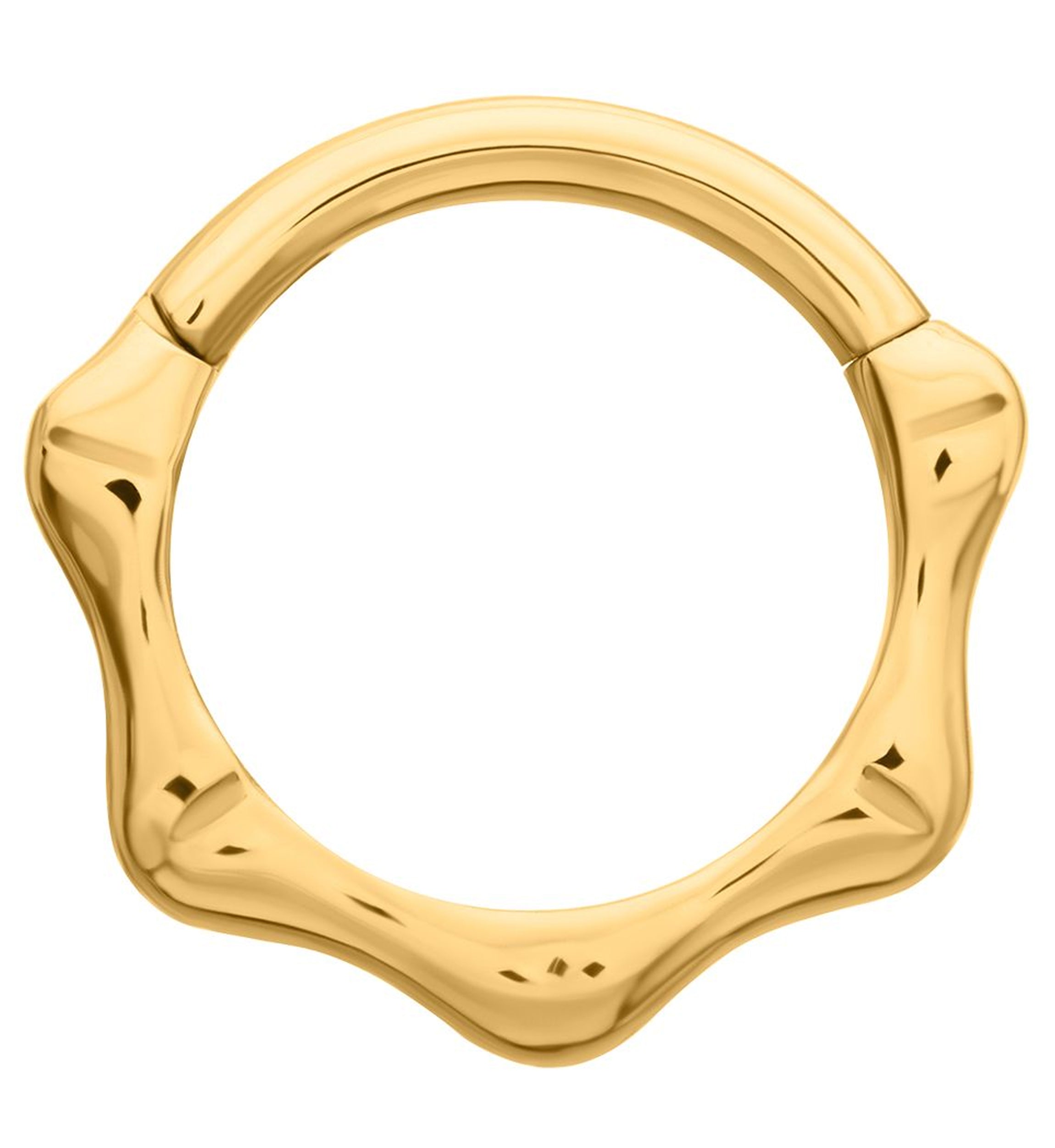 24kt Gold PVD Joint Titanium Hinged Segment Ring