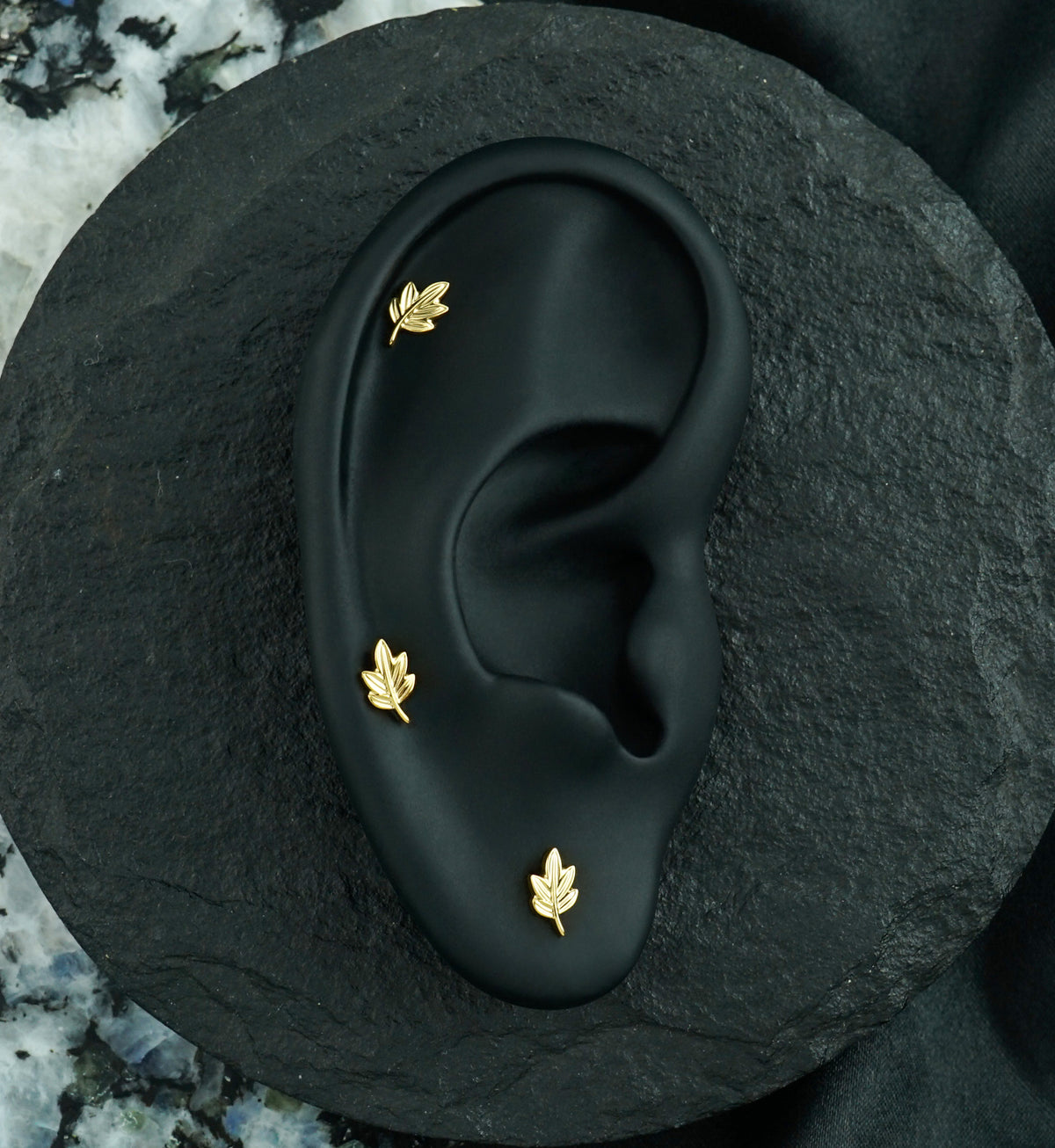 24kt Gold PVD Oak Leaf Titanium Threadless Top