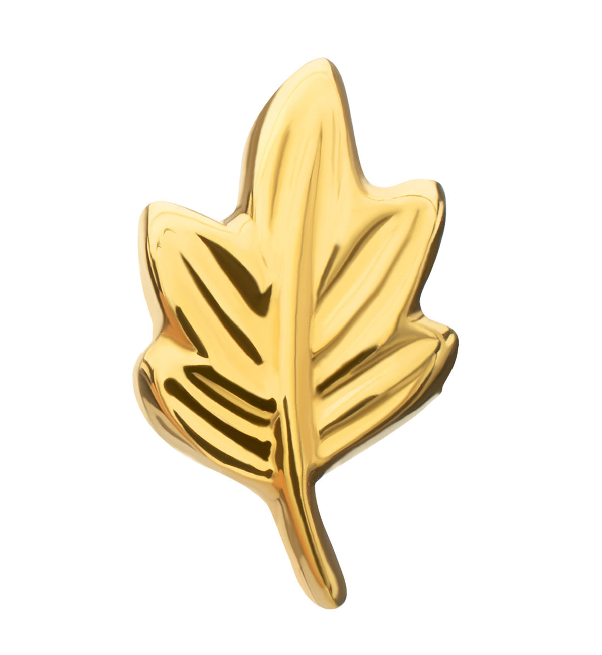 24kt Gold PVD Oak Leaf Titanium Threadless Top