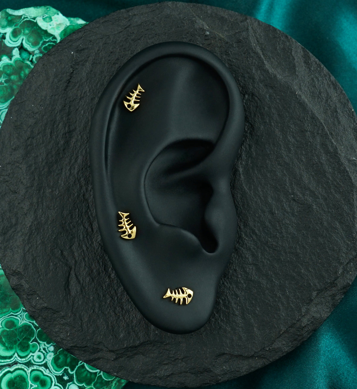 24kt Gold PVD Skeleton Fish Titanium Threadless Top