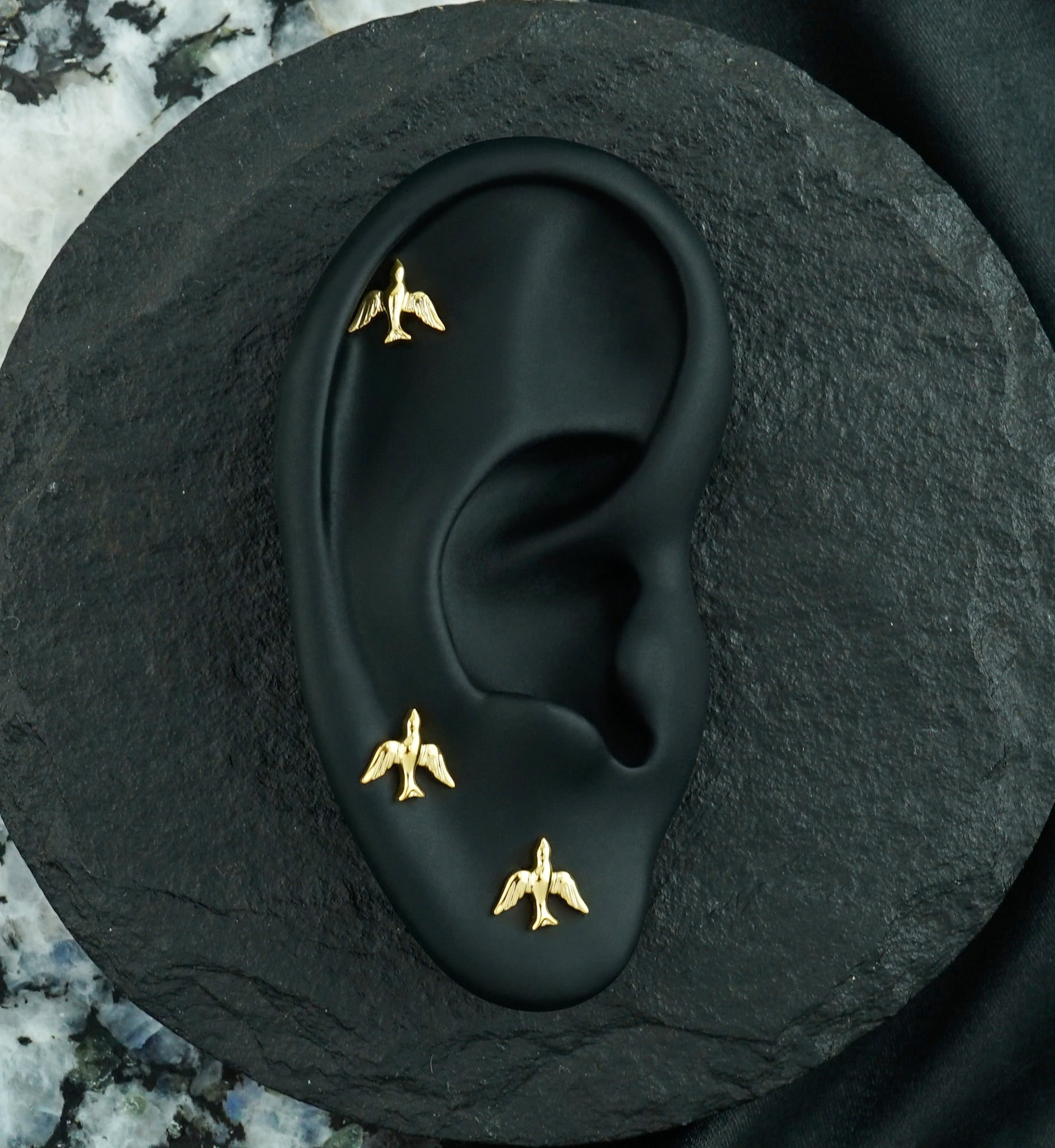 24kt Gold PVD Sparrow Titanium Threadless Top