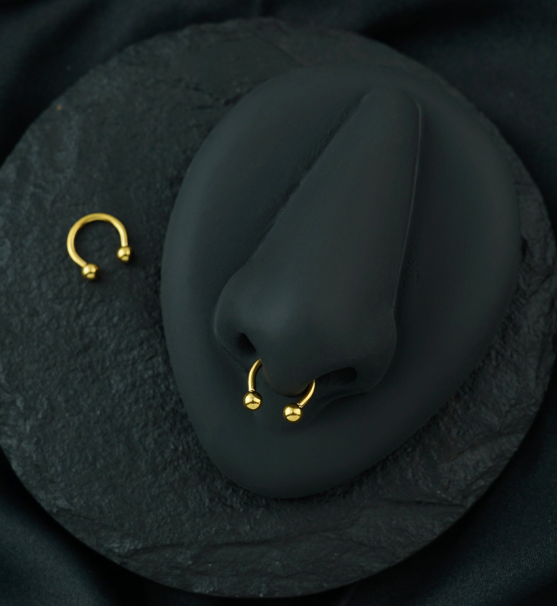 24kt Gold PVD Titanium Circular Barbell