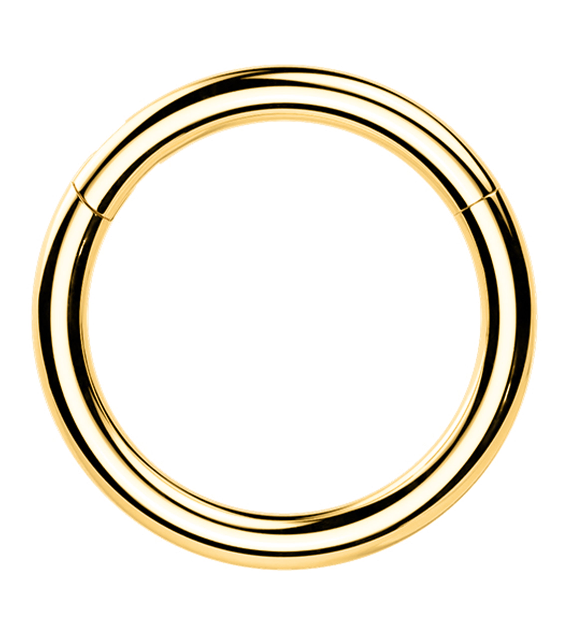 24kt Gold PVD Titanium Hinged Segment Ring