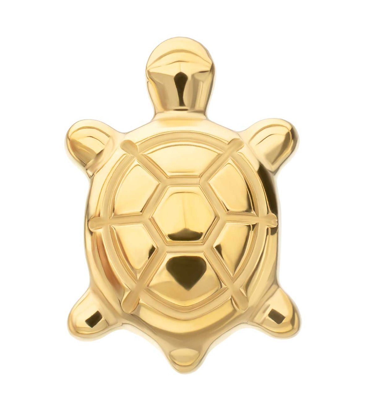 24kt Gold PVD Tortoise Titanium Threadless Top