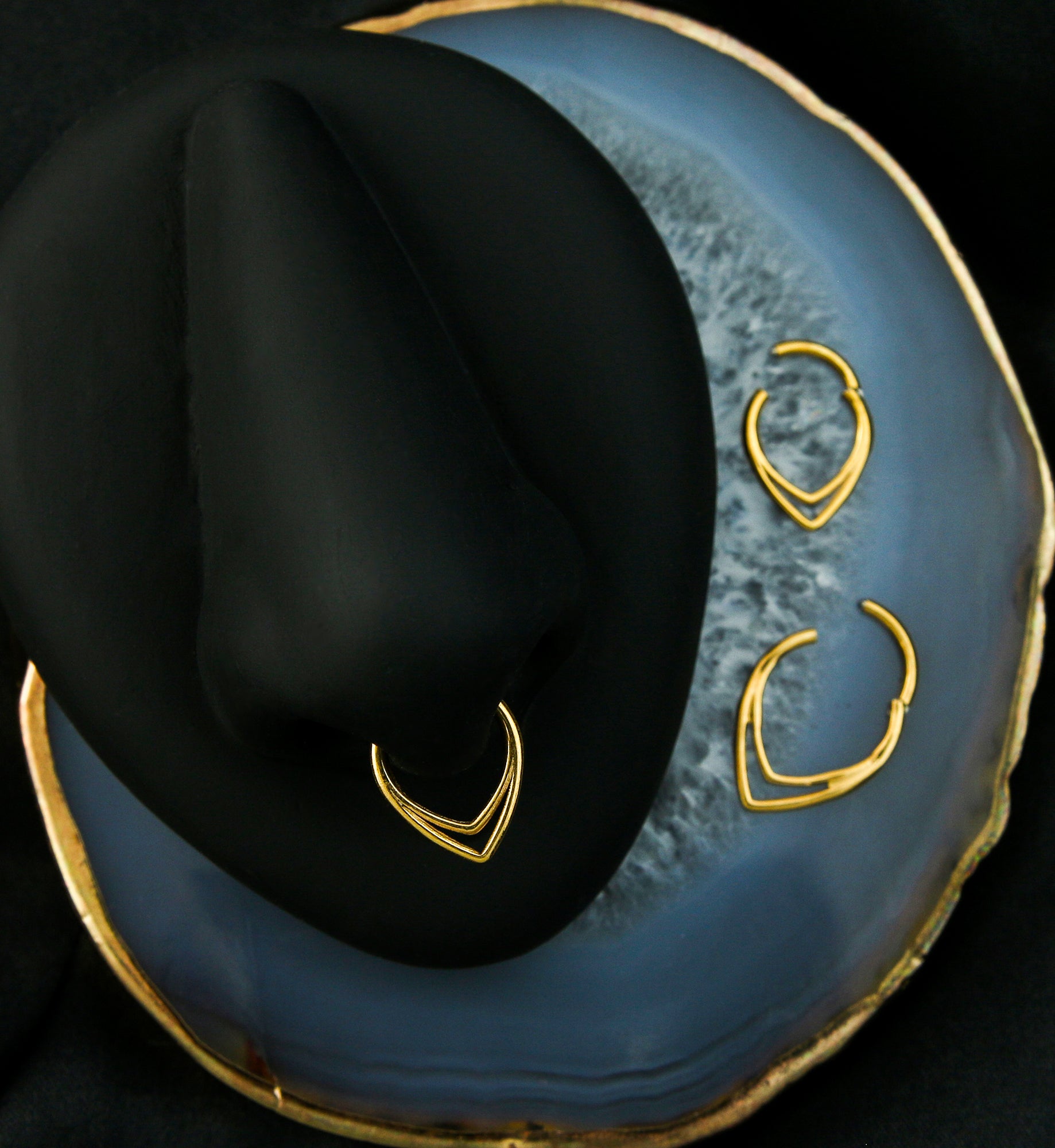 Gold PVD Double Lined Teardrop Titanium Hinged Segment Ring