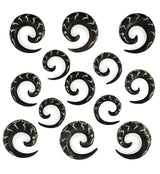 Black Horn Spirals Abalone Inlay