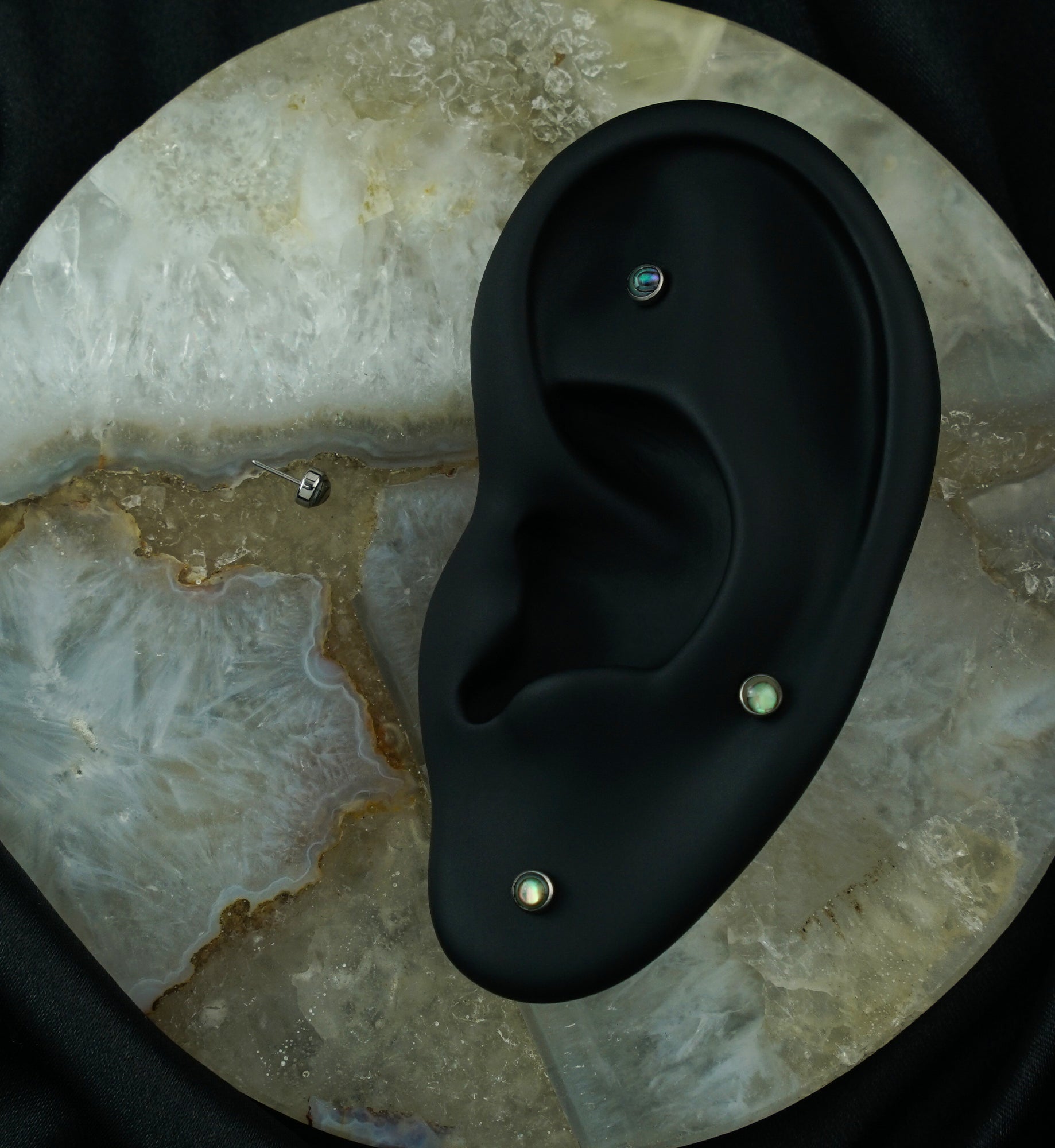 Bezel Abalone Shell Titanium Threadless Top