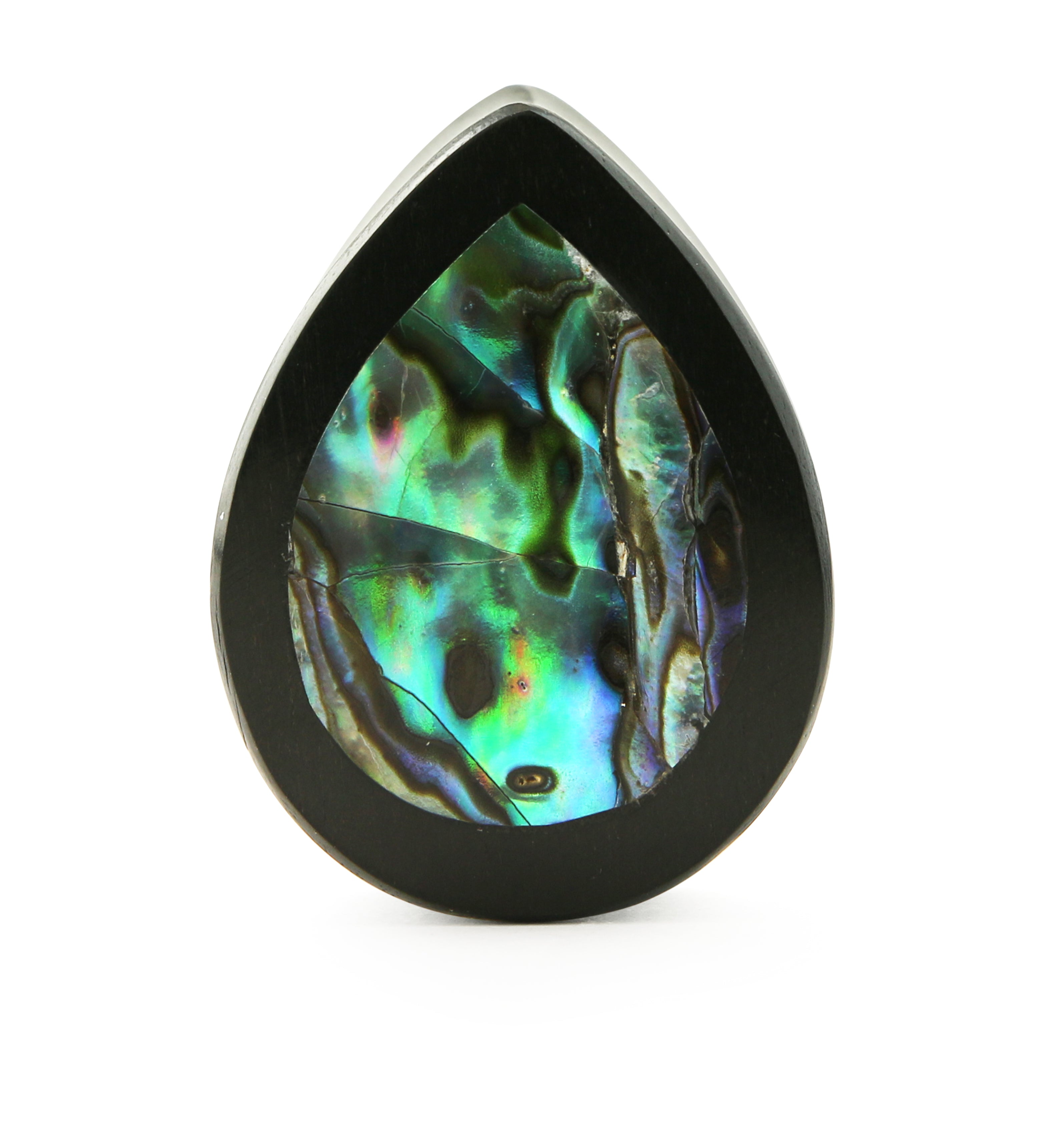Abalone Shell Areng Wood Teardrop Plugs