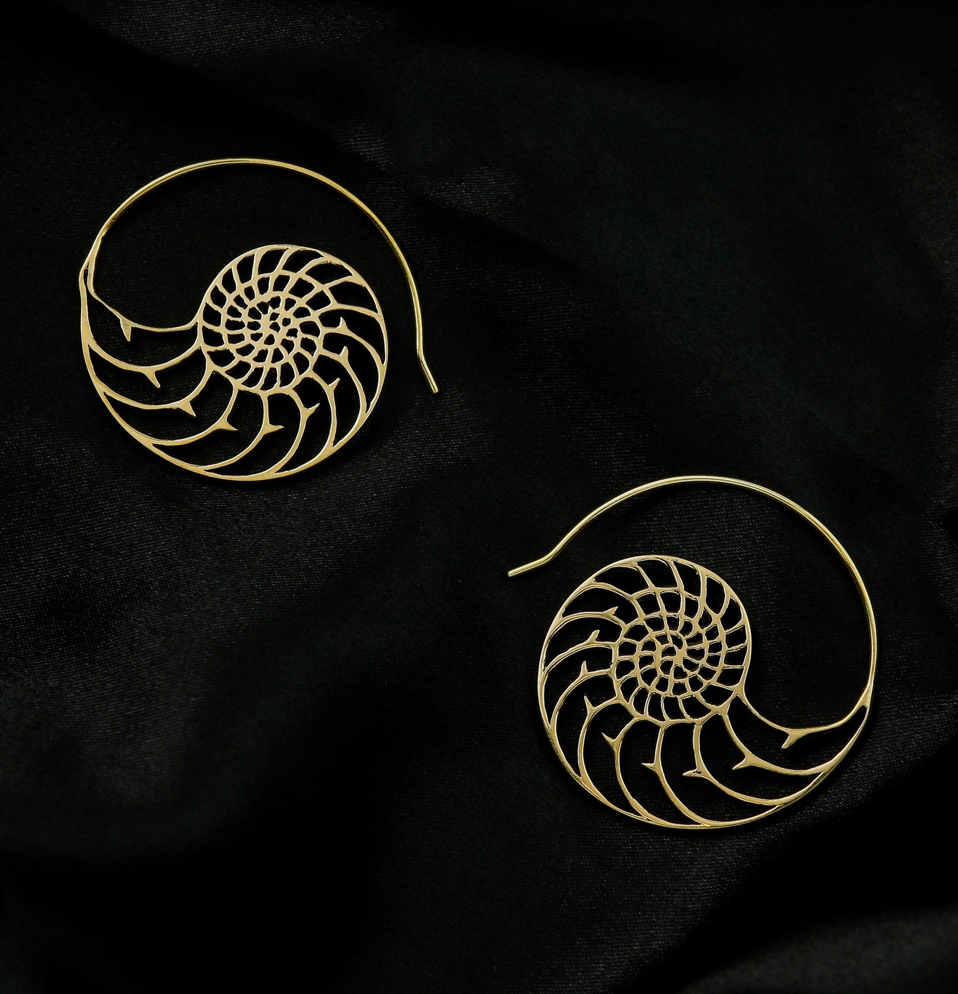 Ammonite Brass Hangers