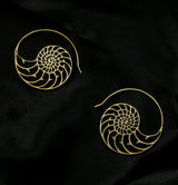 Ammonite Brass Hangers